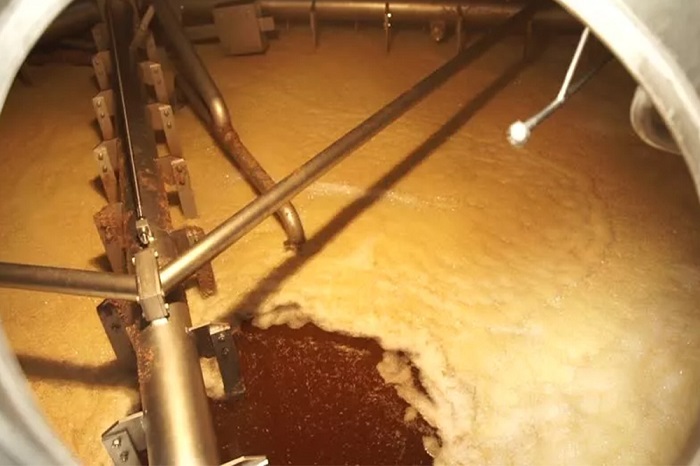 天泰<a href=http://www.yangbailao.com/ target=_blank class=infotextkey>啤酒設備</a>